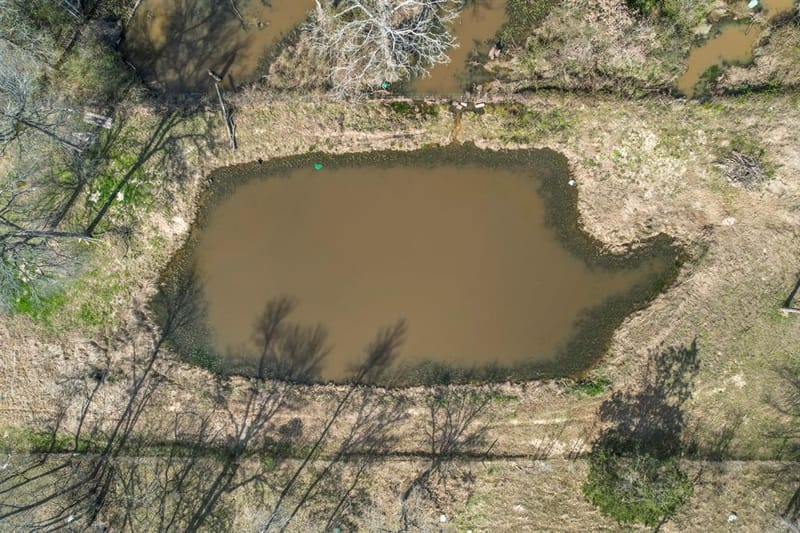 1960 County Road 1030, Mount Vernon TX 75457 - Photo 28