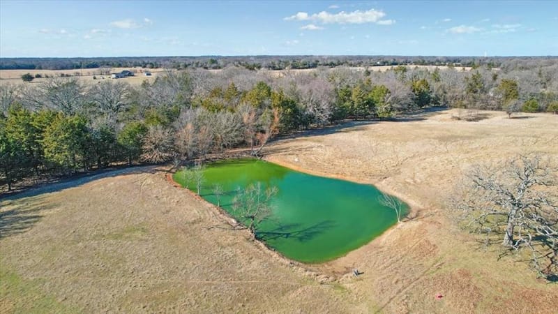 1628 County Road 2605, Bonham TX 75418 - Photo 35