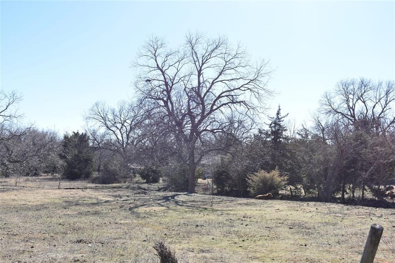 7810 Garner Road, Rowlett TX 75088 - Photo 13