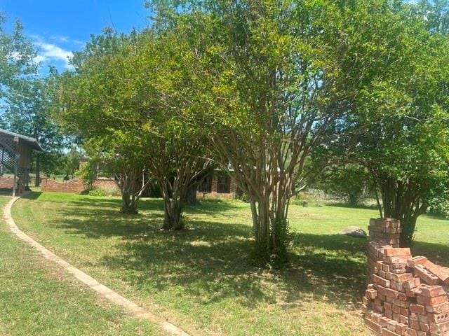 6164 County Road 264, Dublin TX 76446 - Photo 2