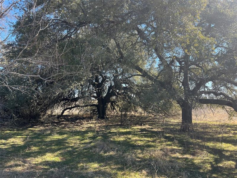 6164 County Road 264, Dublin TX 76446 - Photo 6