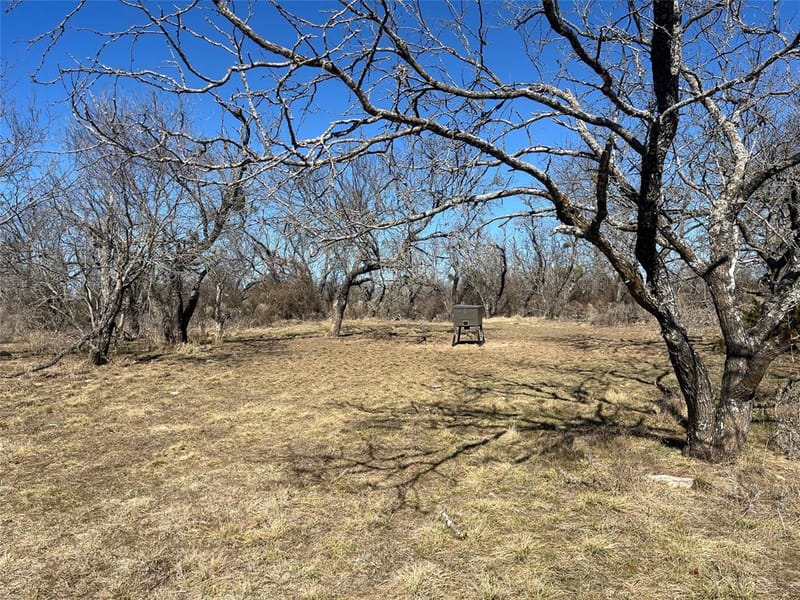 6164 County Road 264, Dublin TX 76446 - Photo 7