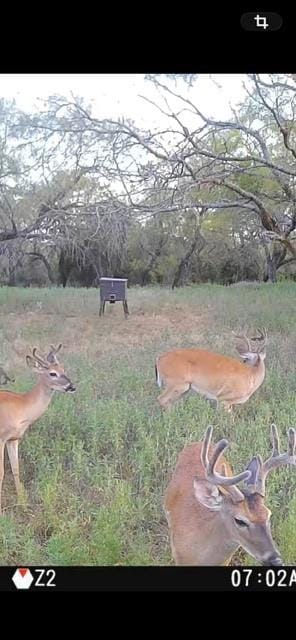 6164 County Road 264, Dublin TX 76446 - Photo 36