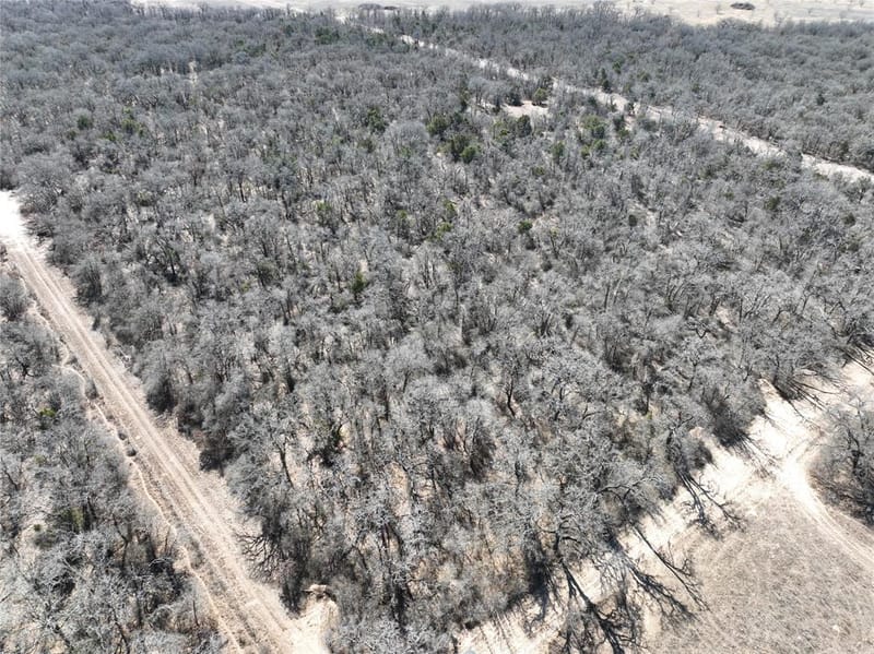 6164 County Road 264, Dublin TX 76446 - Photo 11