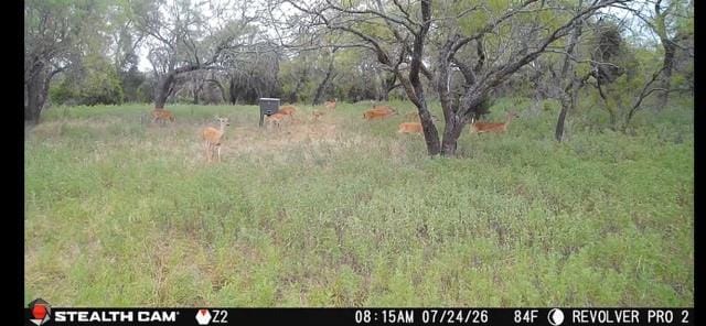 6164 County Road 264, Dublin TX 76446 - Photo 35