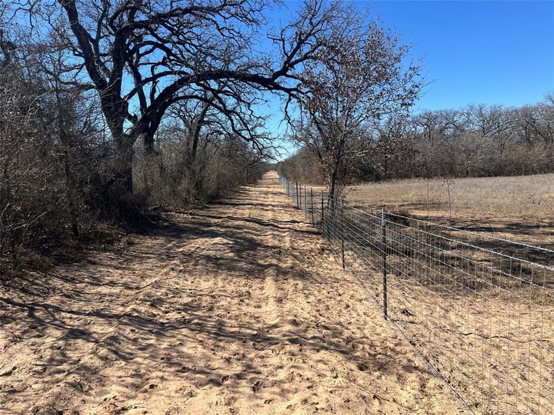 6164 County Road 264, Dublin TX 76446 - Photo 8