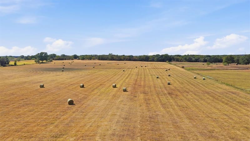 3601 Springfield Road, Springtown TX 76082 - Photo 3