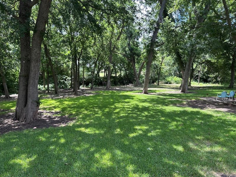 1810 Plum Creek Drive, Midlothian TX 76065 - Photo 38