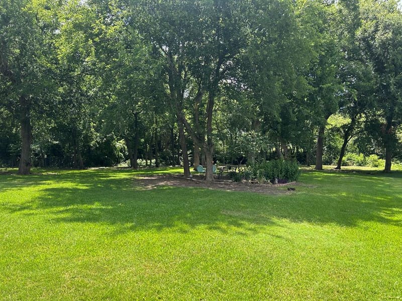 1810 Plum Creek Drive, Midlothian TX 76065 - Photo 37