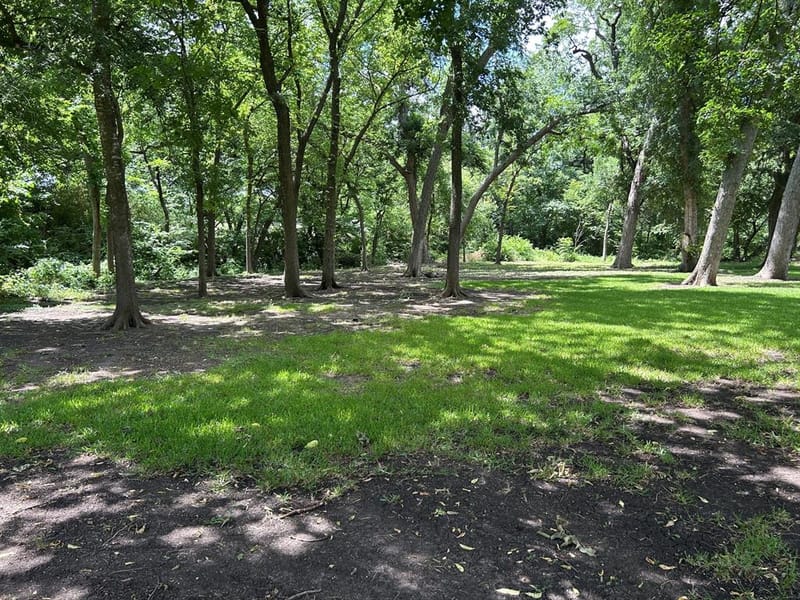1810 Plum Creek Drive, Midlothian TX 76065 - Photo 39