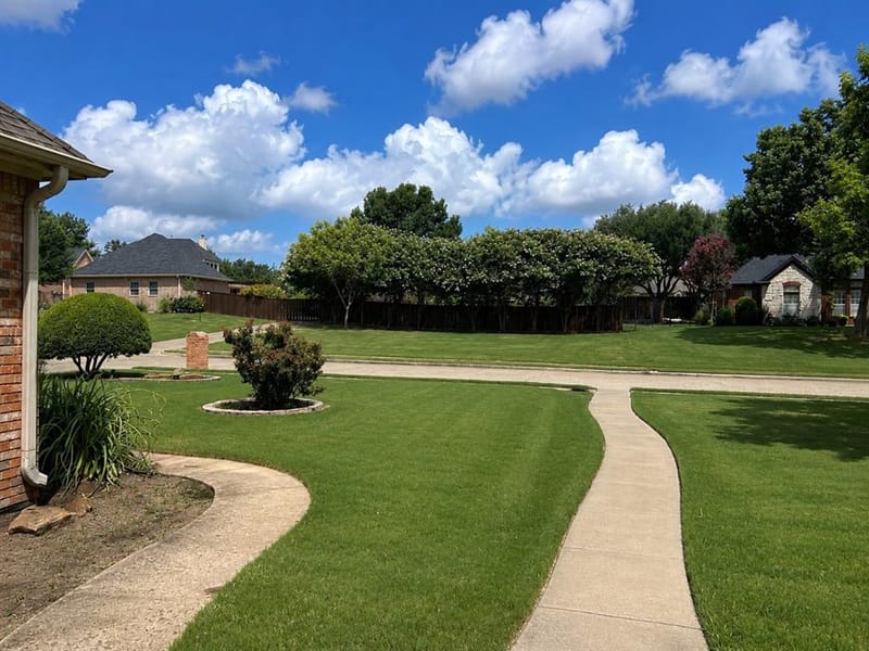 1810 Plum Creek Drive, Midlothian TX 76065 - Photo 4
