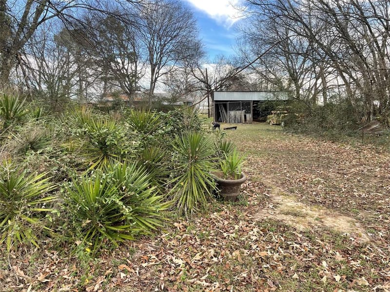 5615 Vz County Road 1222, Grand Saline TX 75140 - Photo 22