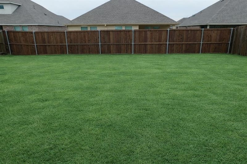 409 Spur Ridge, Princeton TX 75407 - Photo 5
