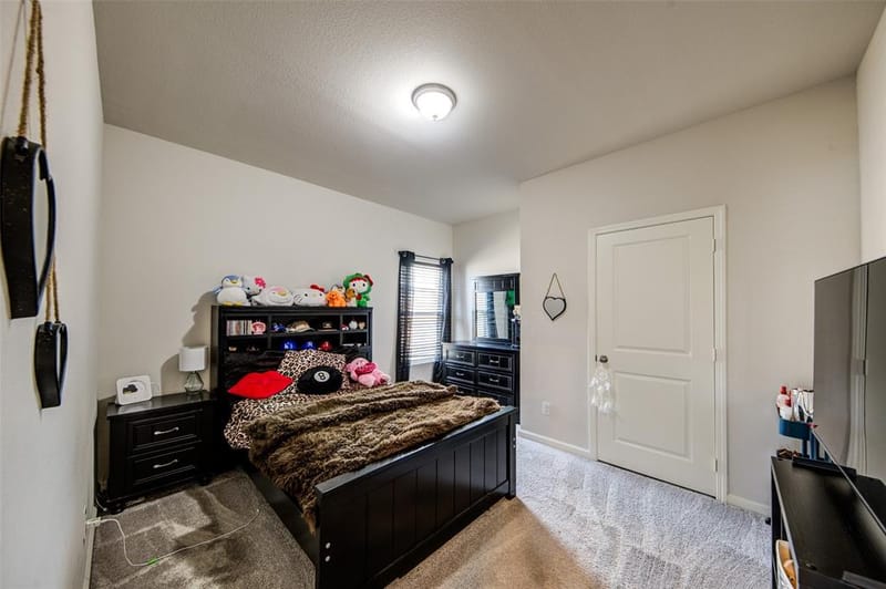 905 Avagail Avenue, Springtown TX 76082 - Photo 8