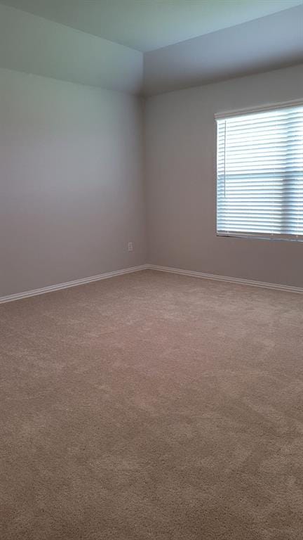 1919 Rolling Ridge Drive, Van Alstyne TX 75495 - Photo 12