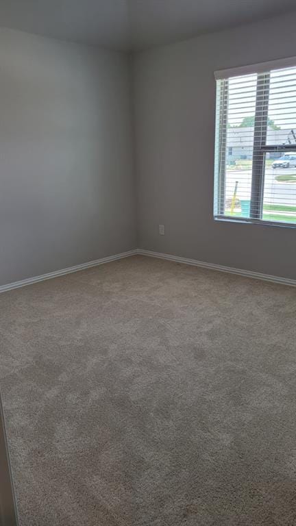 1919 Rolling Ridge Drive, Van Alstyne TX 75495 - Photo 18
