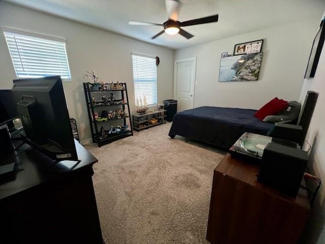 2115 Silver Charm Lane, Forney TX 75126 - Photo 23