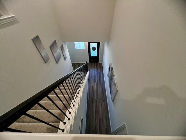 2115 Silver Charm Lane, Forney TX 75126 - Photo 16