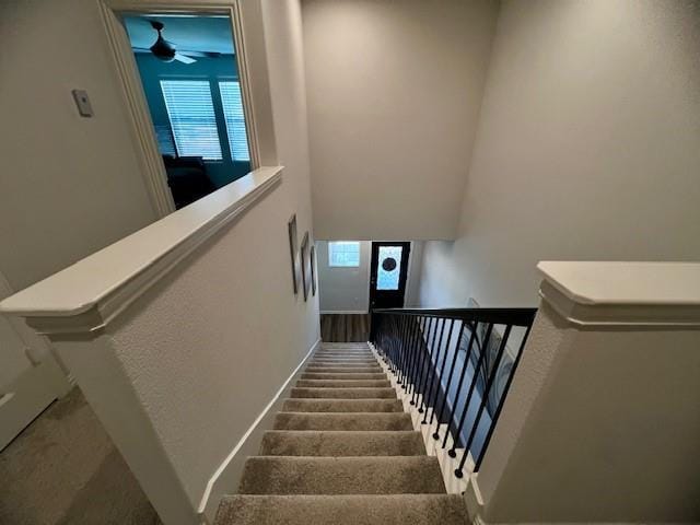 2115 Silver Charm Lane, Forney TX 75126 - Photo 18