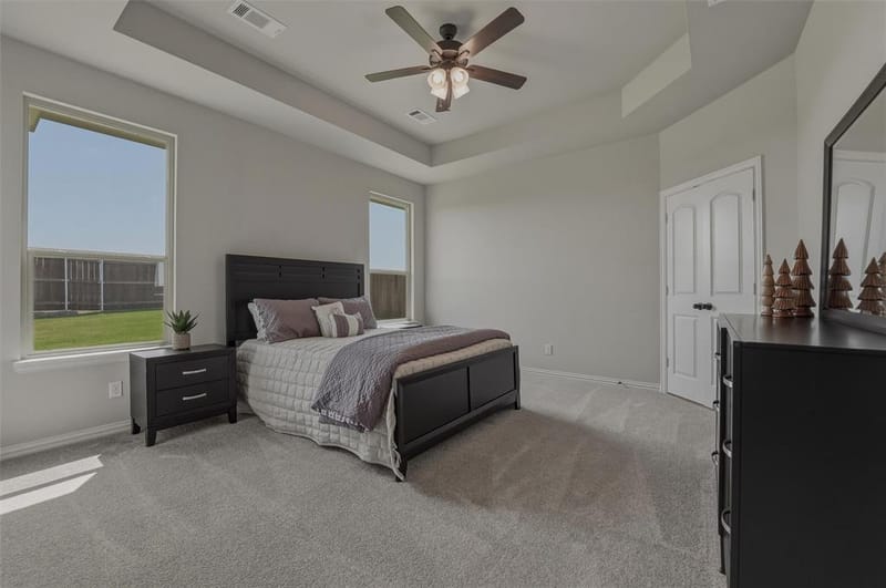 608 Sand Piper Lane, Anna TX 75409 - Photo 18
