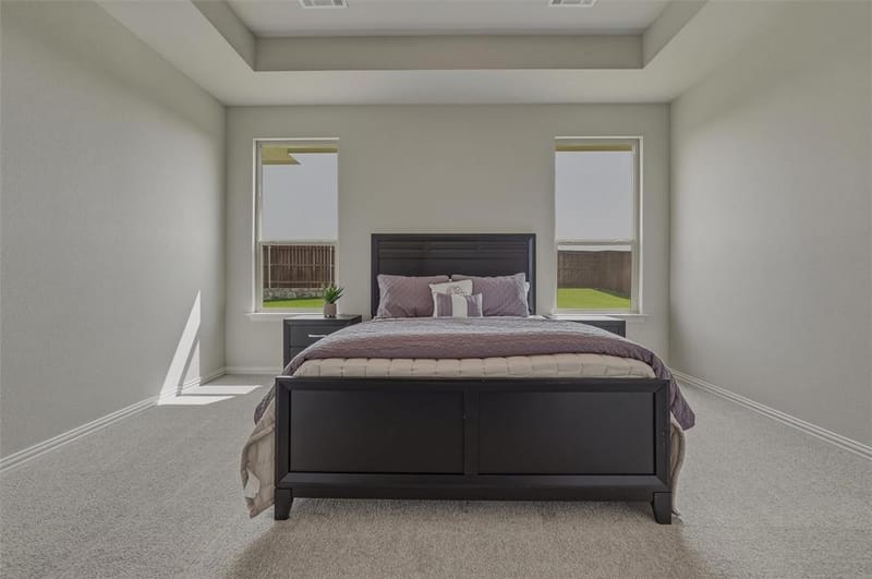 608 Sand Piper Lane, Anna TX 75409 - Photo 19