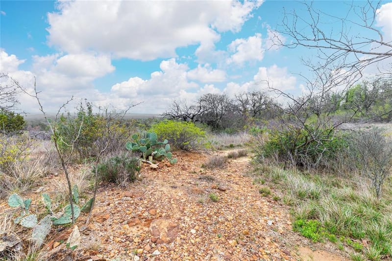 8851 CR 133, Brownwood TX 76801 - Photo 13