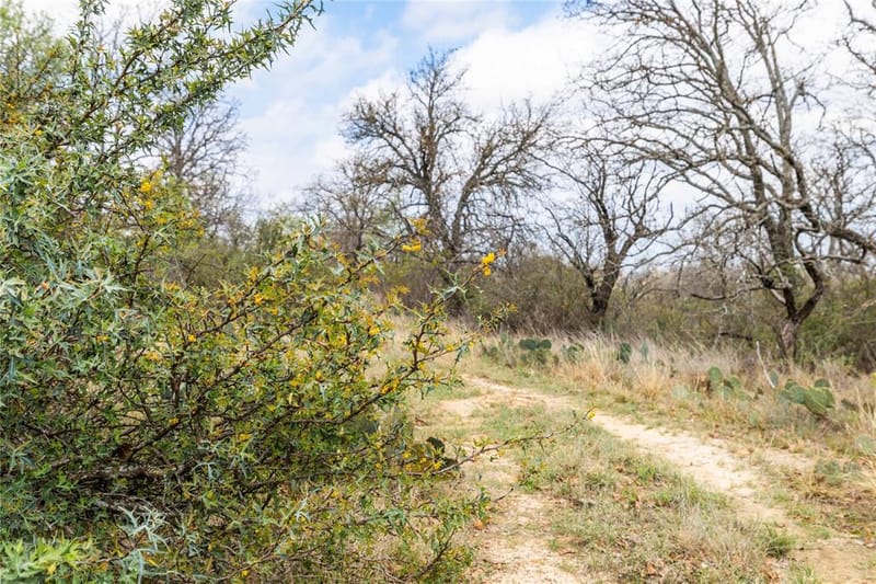 8851 CR 133, Brownwood TX 76801 - Photo 32