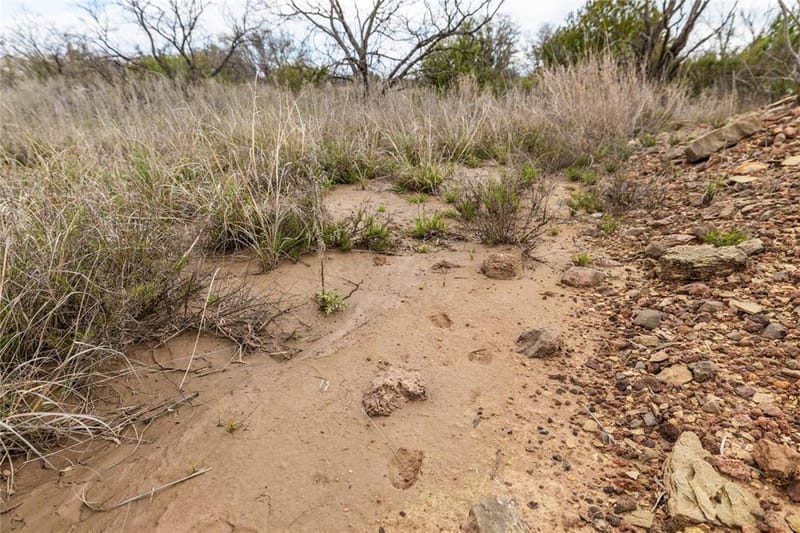 8851 CR 133, Brownwood TX 76801 - Photo 37