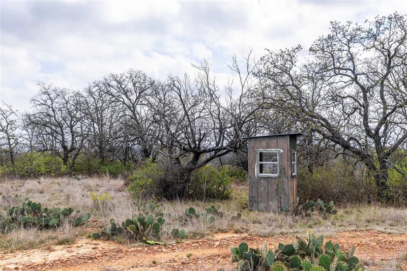 8851 CR 133, Brownwood TX 76801 - Photo 31
