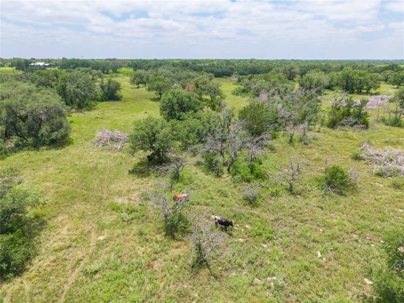 3415 Farm Market 1849, Brownwood TX 76801 - Photo 26