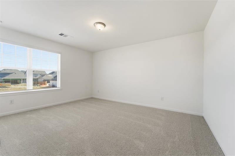 1428 Bramante Street, Celina TX 75009 - Photo 19
