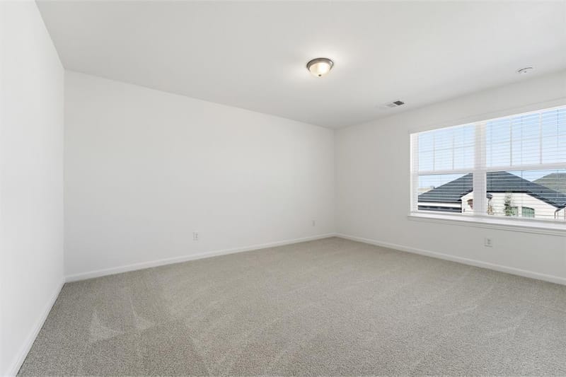 2028 Adriana Avenue, Celina TX 75009 - Photo 17