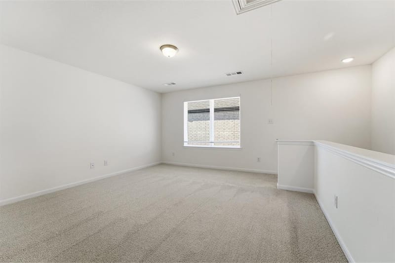 2028 Adriana Avenue, Celina TX 75009 - Photo 16
