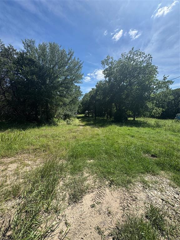 329 S Skyline Court, Cresson TX 76035 - Photo 2
