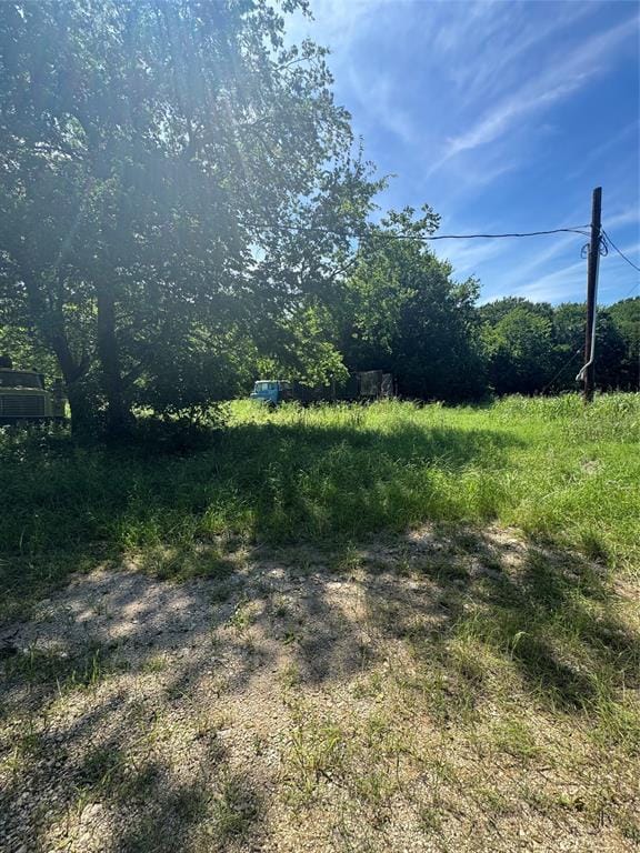 329 S Skyline Court, Cresson TX 76035 - Photo 3