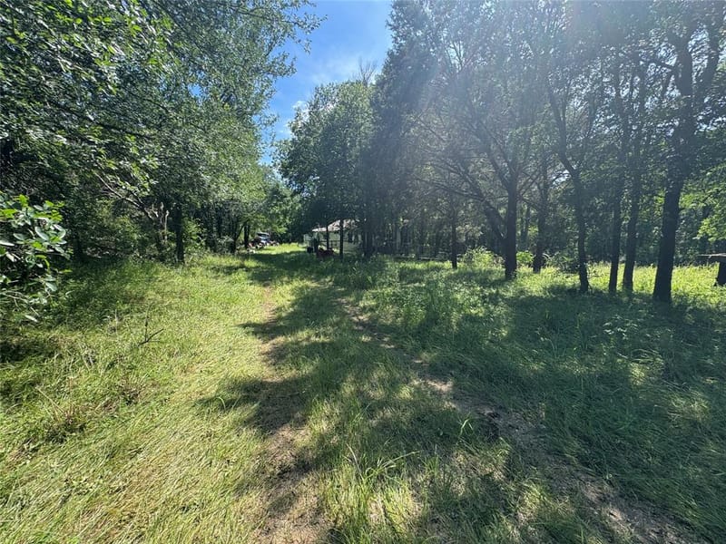 329 S Skyline Court, Cresson TX 76035 - Photo 10