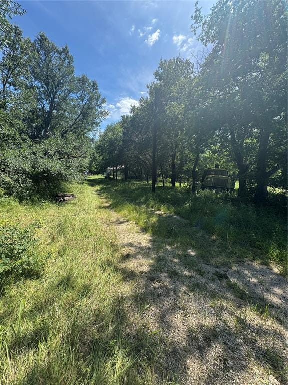 329 S Skyline Court, Cresson TX 76035 - Photo 4