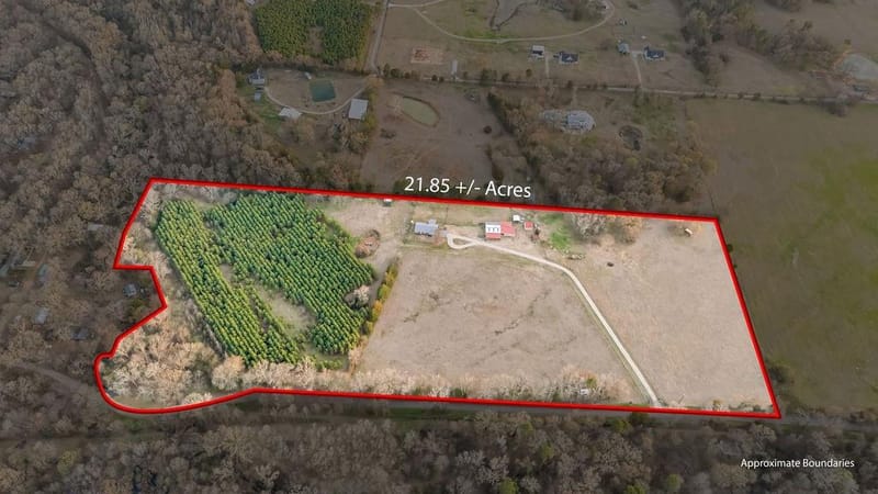 473 County Road Se 3370, Winnsboro TX 75494 - Photo 2