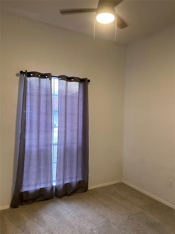 4718 Parkhaven Drive, Garland TX 75043 - Photo 12