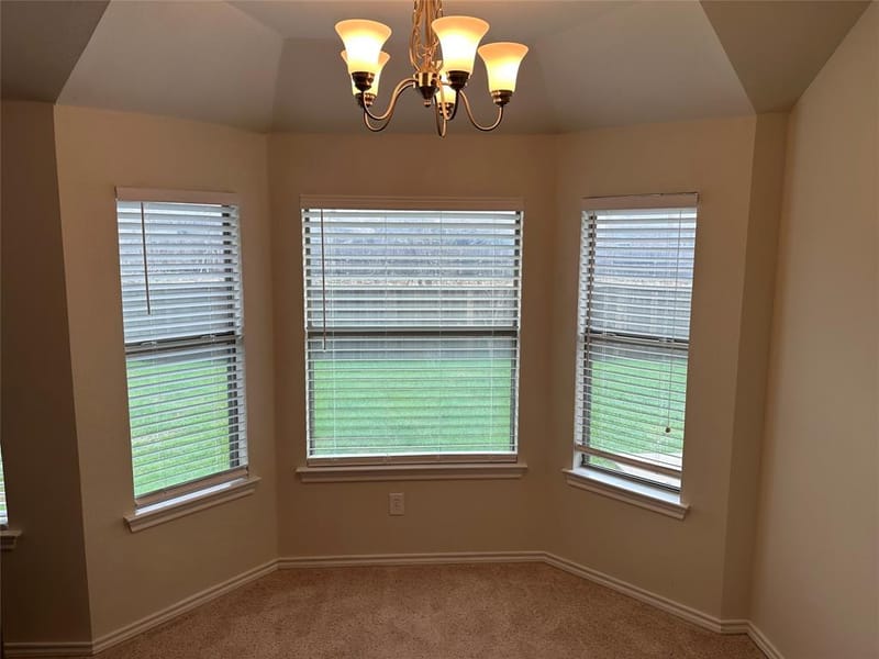 222 Windmill Drive, Justin TX 76247 - Photo 11