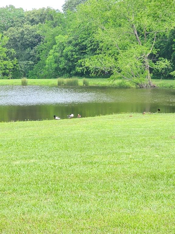 191 Sioux, Quitman TX 75783 - Photo 17