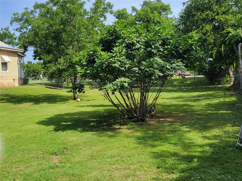 706 W Wrights Avenue, Comanche TX 76442 - Photo 27
