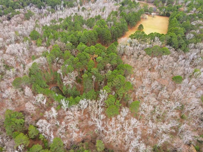 2360 County Road 4660, Winnsboro TX 75494 - Photo 27