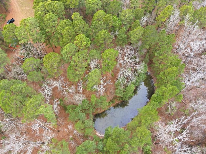 2360 County Road 4660, Winnsboro TX 75494 - Photo 26