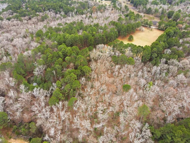 2360 County Road 4660, Winnsboro TX 75494 - Photo 28