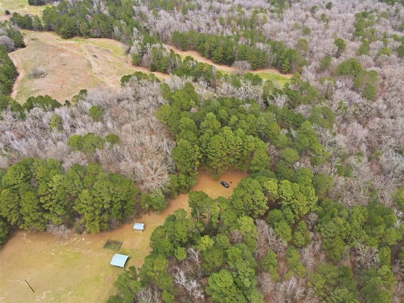 2360 County Road 4660, Winnsboro TX 75494 - Photo 30