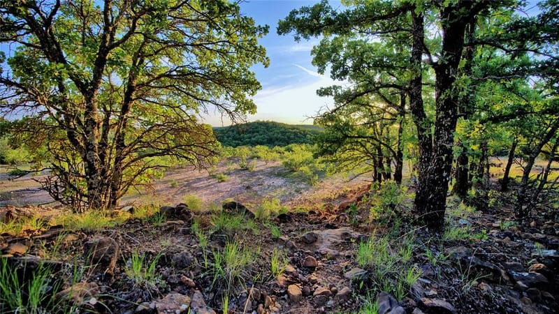 858 Ford Road, Bowie TX 76230 - Photo 36