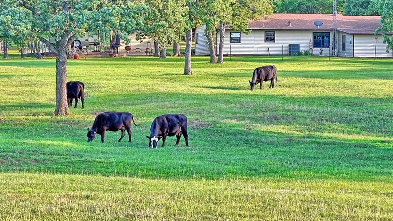 858 Ford Road, Bowie TX 76230 - Photo 15