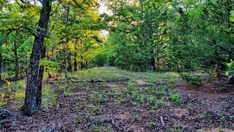 858 Ford Road, Bowie TX 76230 - Photo 25