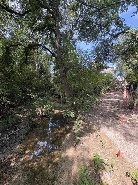 1408 Bearpath Way, Gunter TX 75058 - Photo 30